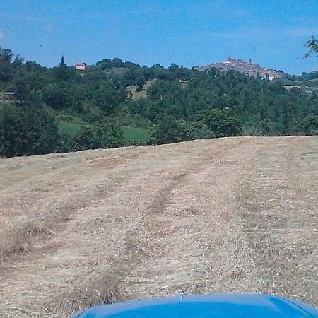 Il Laghetto Agriturismo Villa Manciano Luaran gambar
