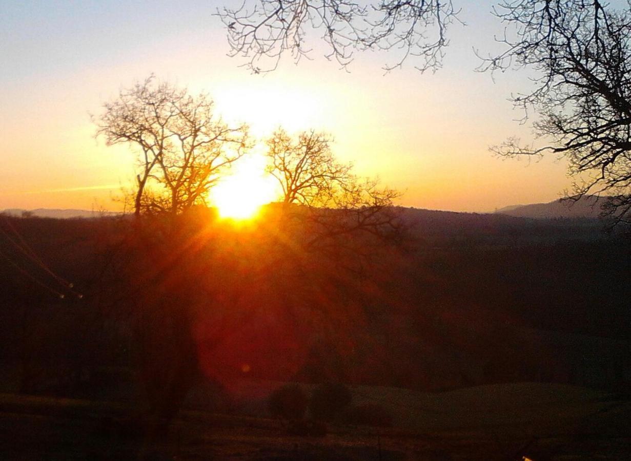 Il Laghetto Agriturismo Villa Manciano Luaran gambar