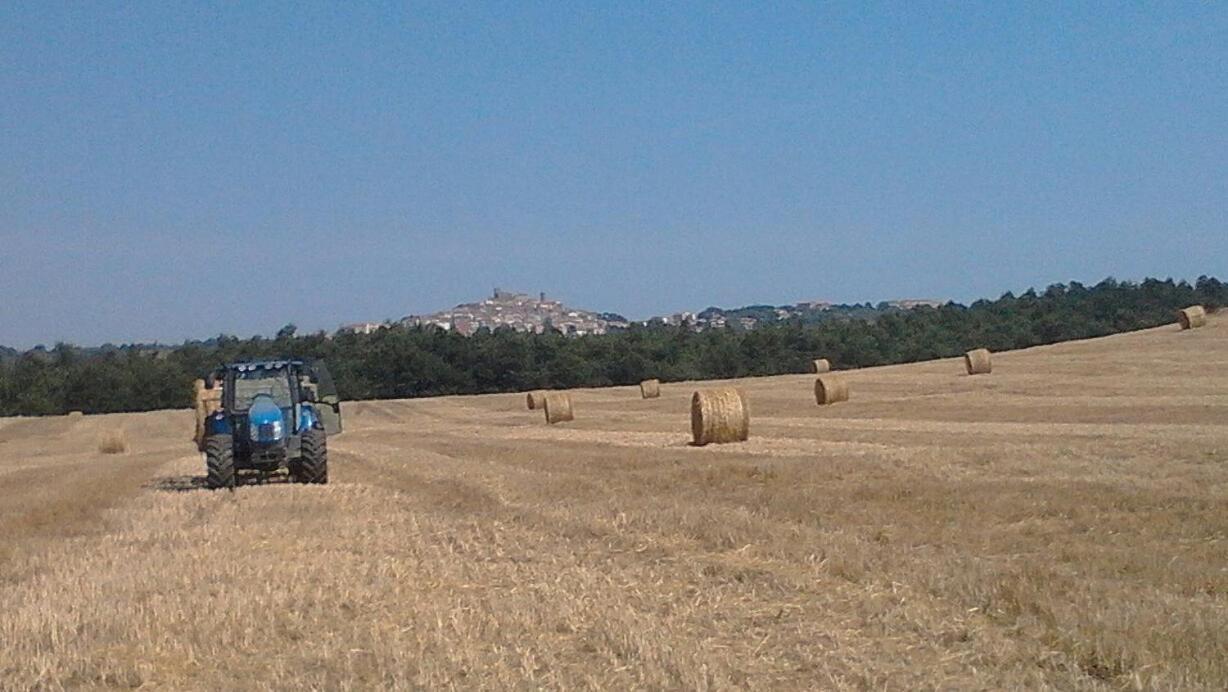 Il Laghetto Agriturismo Villa Manciano Luaran gambar
