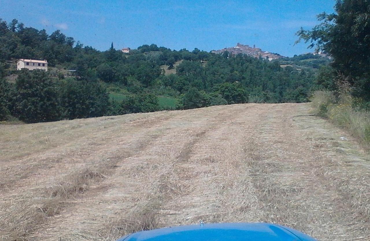 Il Laghetto Agriturismo Villa Manciano Luaran gambar