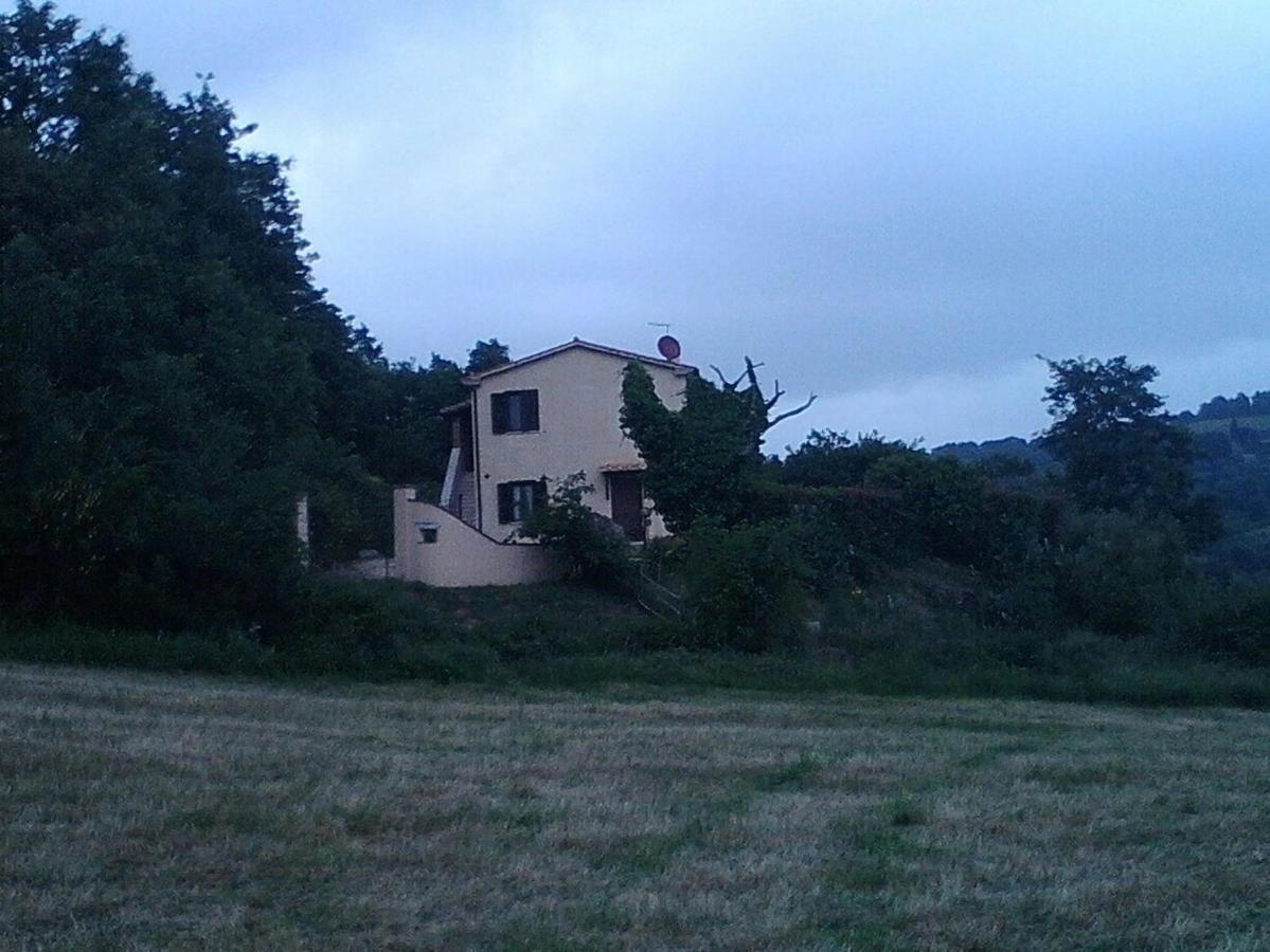 Il Laghetto Agriturismo Villa Manciano Luaran gambar